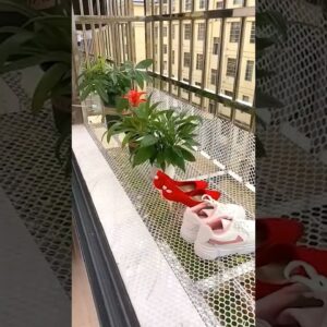 Amazon Balcony Net Cover Home useful products gadgets video